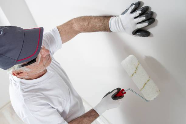 Best Mold Removal for HVAC Installations  in Mount Gay Shamrock, WV