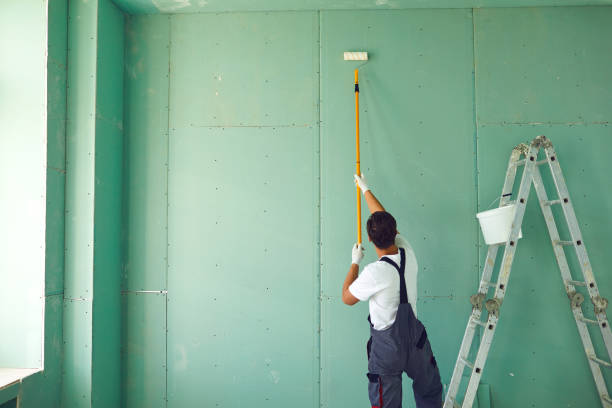 Best Emergency Mold Remediation  in Mount Gay Shamrock, WV