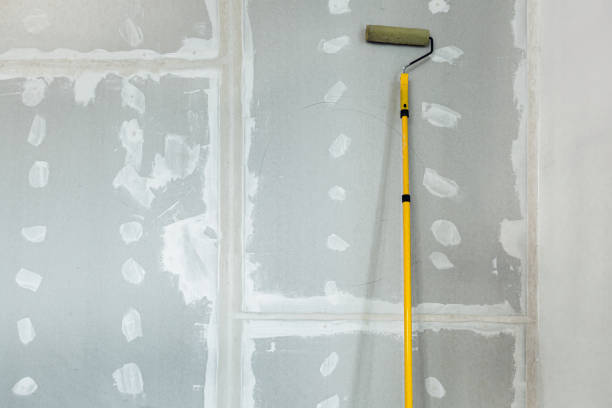 Best Attic Mold Removal  in Mount Gay Shamrock, WV