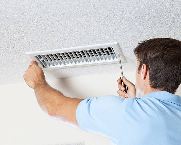 Best Mold Damage Restoration  in Mount Gay Shamrock, WV