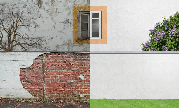 Environmental Consulting for Mold Prevention in Mount Gay Shamrock, WV